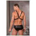 Zeus Wet Look Harness And Brief Large-Xlarge - AL282042LXL