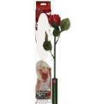 Romantic Rose Play Vibe - HO2409