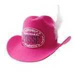 Posse Cowboy Hat - LITNVC057