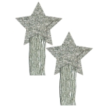 Pastease Star Tassel Silver - PASSTRTASGLTSL5