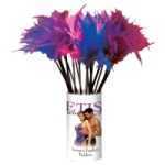 Lovers Ticklers 24 Piece Display - PD210800