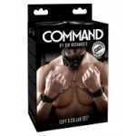 Sir Richards Command Cuff And Collar Set - PDSR1042