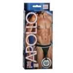 Apollo Mesh Jock With C Ring Black M And L - SE420300