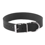 Plain Collar 1 Inches With Buckle And D Ring - SPL08J10