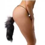 Frisky Faux Fox Tail Butt Plug - XRAD657